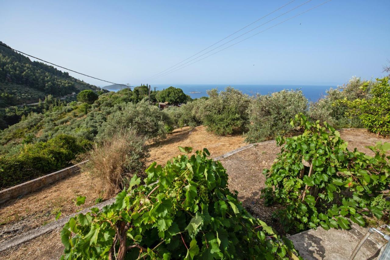 Oneiro Cottage Skopelos Town Exterior photo